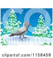 Poster, Art Print Of Crow In The Snow