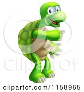 Poster, Art Print Of Happy Tortoise Standing And Pointing