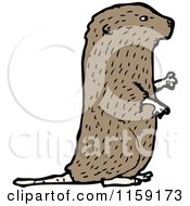 Poster, Art Print Of Beaver