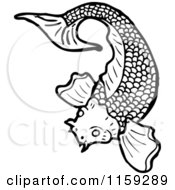 Poster, Art Print Of Black And White Koi Fish