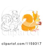 Cartoon Of A Cute Outlined And Colored Squirrel Holding An Acorn Royalty Free Clipart