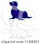 Poster, Art Print Of Cute Outlined And Blue Seal