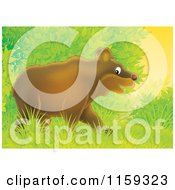 Cartoon Of A Bear Emerging From Shrubs Royalty Free Clipart