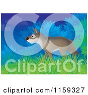 Cartoon Of A Wolf Emerging From Shrubs Royalty Free Clipart