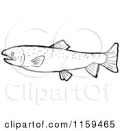 Poster, Art Print Of Black And White Fish