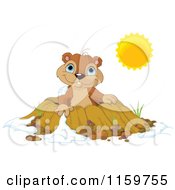 Poster, Art Print Of Cute Groundhog Emerging From A Hole On A Sunny Day