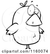Cartoon Clipart Of A Black And White Confused Bird Vector Outlined Coloring Page