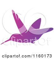 Clipart Of A Gradient Purple Hummingbird Royalty Free Vector Illustration