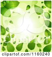 Poster, Art Print Of Green Spring Time Background Of Leaves And Flares
