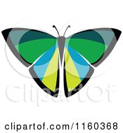 Poster, Art Print Of Green And Blue Butterfly