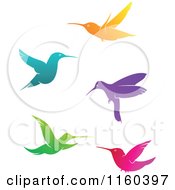 Clipart Of Colorful Hummingbirds Royalty Free Vector Illustration