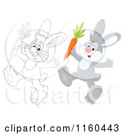 Cartoon Of Outlined And Gray Bunnies Walking With Carrots Royalty Free Clipart