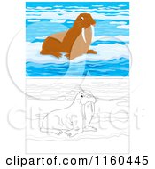 Poster, Art Print Of Outlined And Brown Walruses On Ice