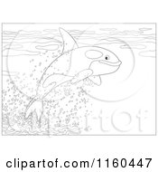 Poster, Art Print Of Outlined Cute Orca Whale Leaping Out Of Water