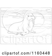 Poster, Art Print Of Outlined Walrus On Ice