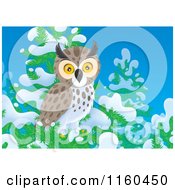 Poster, Art Print Of Spotted Owl Perched In A Snow Flocked Tree