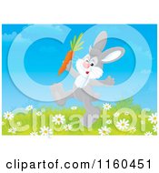 Poster, Art Print Of Gray Bunny Walking With A Carrot