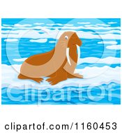 Poster, Art Print Of Brown Walrus On Ice