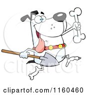 Poster, Art Print Of Excited White Dog Running With A Shovel To Bury A Bone