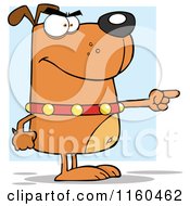 Angry Brown Dog Standing And Pointing Over Blue