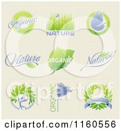 Poster, Art Print Of Green And Purple Organic And Natural Product Labels On Beige