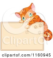 Poster, Art Print Of Cute Ginger Cat Hanging On A Tan Sign With Paw Prints