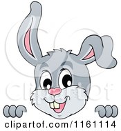 Poster, Art Print Of Easter Bunny Over A Sign