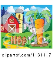 Cartoon Of A Rabbit Pulling A Giant Carrot By A Barn Royalty Free Vector Clipart