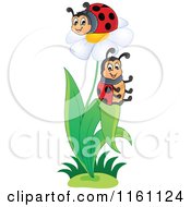 Poster, Art Print Of Ladybugs On A Daisy Plant