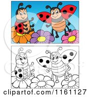 Cartoon Of Colored And Black And White Ladybugs On Flowers Royalty Free Vector Clipart