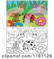 Poster, Art Print Of Outlined And Colored Bugs And Flowers