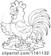 Cartoon Of An Outlined Presenting Rooster Royalty Free Vector Clipart by visekart
