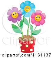 Colorful Daisy Flowers In A Pot