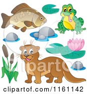 Poster, Art Print Of Happy Otter Frog And Fish