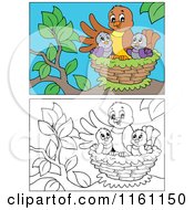 Outlined And Colored Chicks And A Mother In A Nest