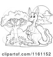 Poster, Art Print Of Outlined Kangaroo By A Tree