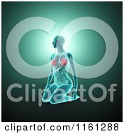 3d Woman Kneeling With Visible Anatomy Over Green