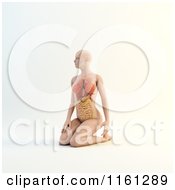 Poster, Art Print Of 3d Woman Kneeling With Visible Anatomy And Organs