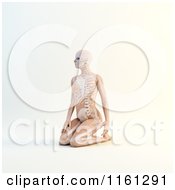 Poster, Art Print Of 3d Woman Kneeling With Visible Skeleton