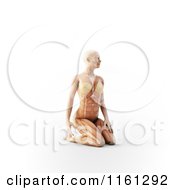 Clipart Of A 3d Woman Kneeling With Visible Anatomy Royalty Free CGI Illustration