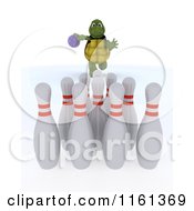 Poster, Art Print Of 3d Tortoise Bowling