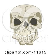 Cracked Human Skull Clipart Illustration
