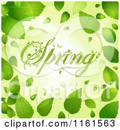 Poster, Art Print Of Floral Spring Text Over Flares And Bordered With Green Leaves