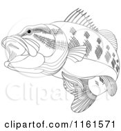 Poster, Art Print Of Black And White Bass Fish