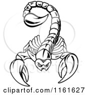 Poster, Art Print Of Black And White Scorpion