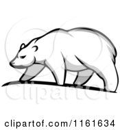 Poster, Art Print Of Walking Polar Bear In Profile 3