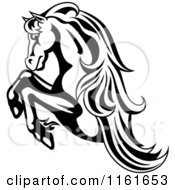 Clipart Of A Black And White Rearing Horse Royalty Free Vector Illustration