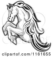 Poster, Art Print Of Black And White Rearing Horse Outlined In Gray