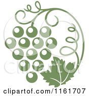 Poster, Art Print Of Olive Green Grape Vine And Bunch