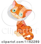 Cartoon Of A Cute Ginger Kitten Wearing A Cone Elizabethan Collar Royalty Free Vector Clipart